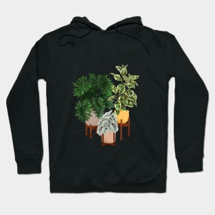 House Plants Illustration 27 Hoodie